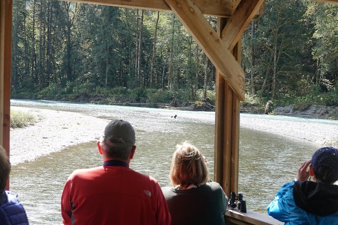 Campbell River: Bute Inlet Grizzly-Watching Tour & Boat Ride - Meeting at The Floathouse in Campbell River