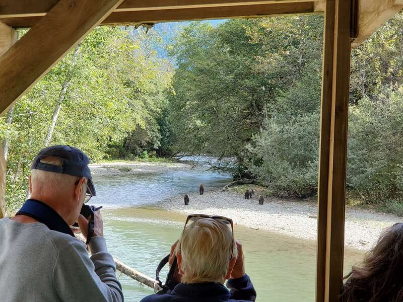 Campbell River: Grizzly Bear-Watching Tour with Lunch - Entering Homalco Territory with an Indigenous Guide