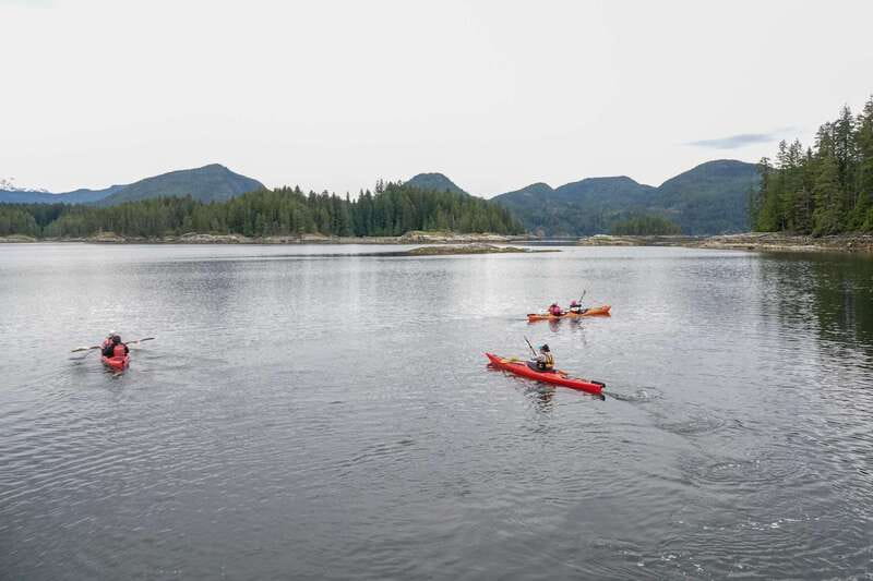 Campbell River: Kayaking and Whale Watching Tour - Whale watching aboard Wild 1