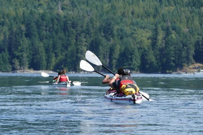 Campbell River: Kayaking and Whale Watching Tour - Starting at Discovery Harbour Marina