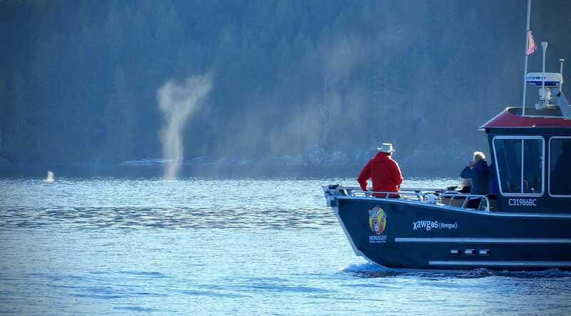 Campbell River: Salish Sea Whale Watching Adventure - A closer look at the four-hour rhythm