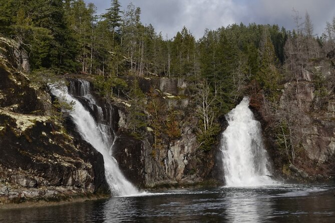 Campbell River: Spring Bear Watching & Waterfalls Boat Tour - Key points to know before you book
