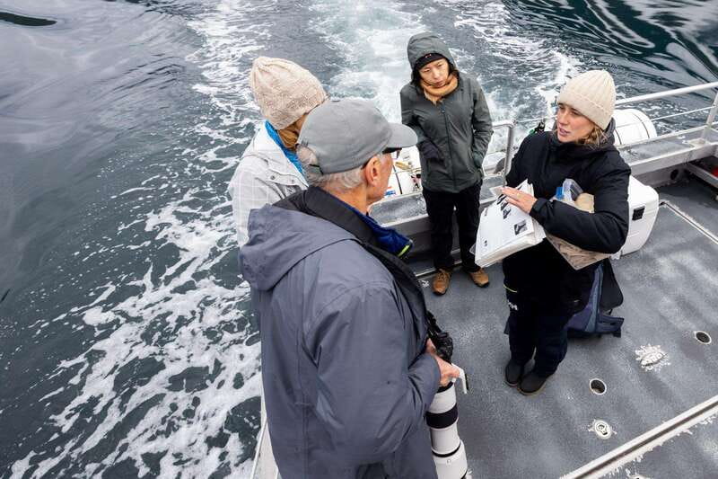 Campbell River: Whale Watching and Wildlife Viewing Day Tour - Lunch, hot drinks, and a welcome shore break