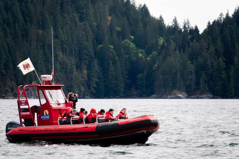 Campbell River: Whale Watching and Wildlife Viewing Day Tour - Who should book this day tour?