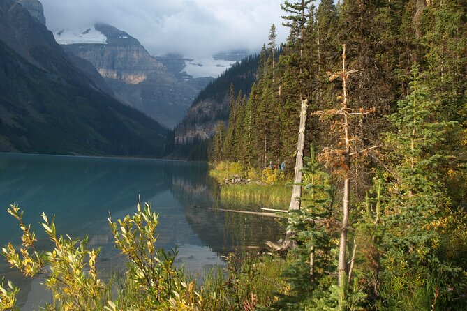 Canadian Rockies Golden Hour Tour | Lunch Included - Peyto Lake and the Changing Dawn