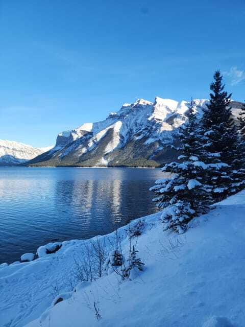 Canmore/Banff: Explore Banff & Wildlife - Bow Falls in Ten Focused Minutes