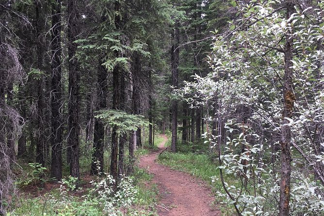 Canmore Cowboys and Coal Miners History Tour - 2H Walk - Is $48.71 a fair price?