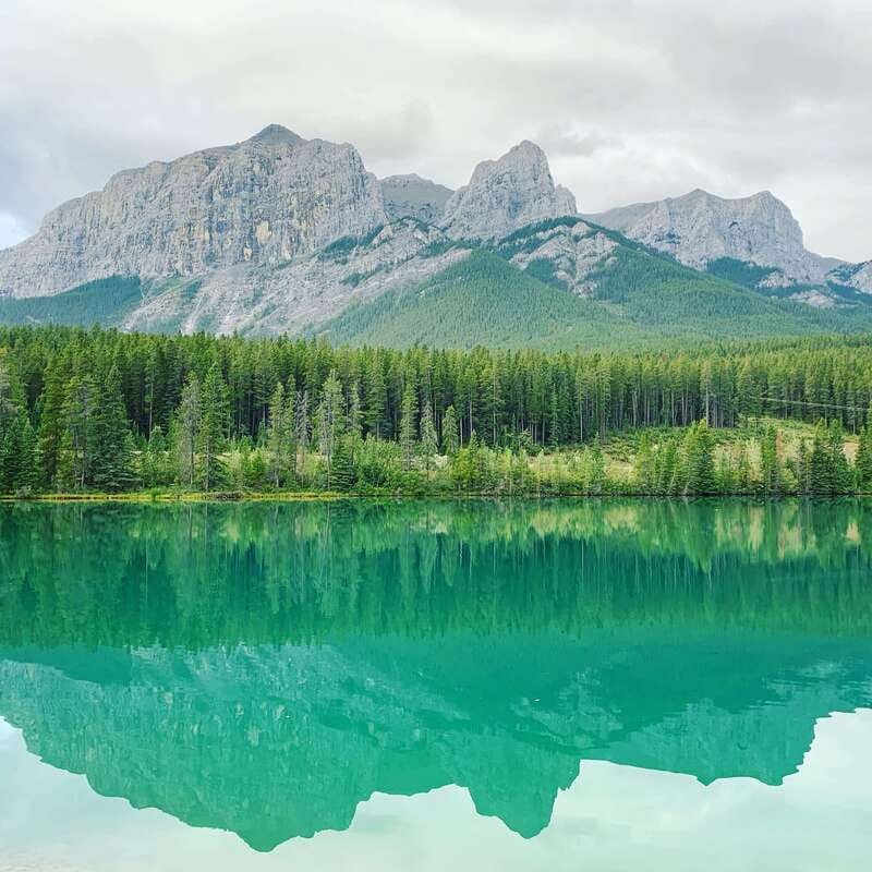 Canmore: PRIVATE SAFARI Drive to BANFF Park & Nature Walk - The one-hour nature walk, tailored to your group