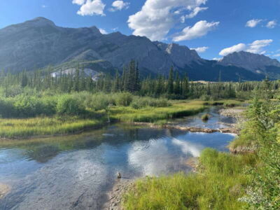 Canmore: PRIVATE SAFARI Drive to BANFF Park & Nature Walk