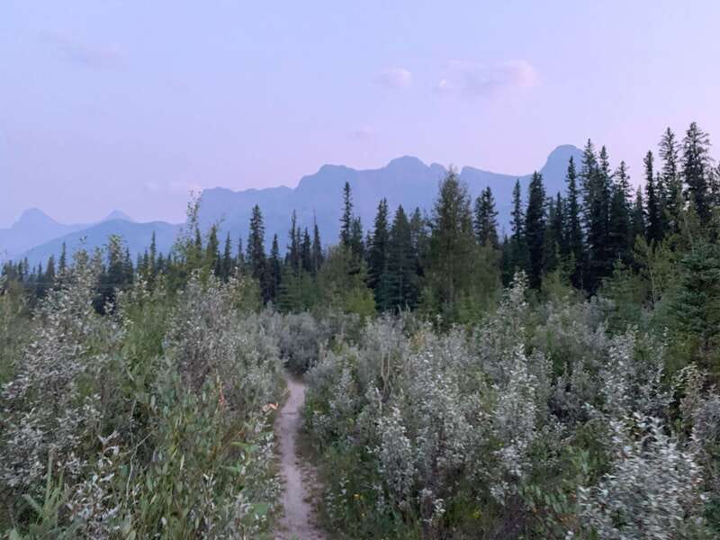 Canmore: PRIVATE SAFARI Drive to BANFF Park & Nature Walk - The return drive and final chances for wildlife