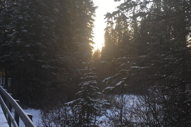 Canmore: Stargazing and Nature by Nightfall Walking Tour - 2hr - What the stars may look like