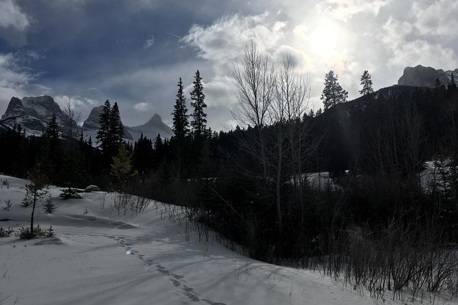 Canmore: Stargazing and Nature by Nightfall Walking Tour - 2hr - Is $69.81 a fair price?