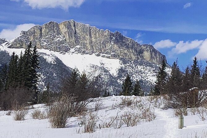Canmore: Wilderness & Wildlife Tour - 2hr Walk - Who should book this experience?