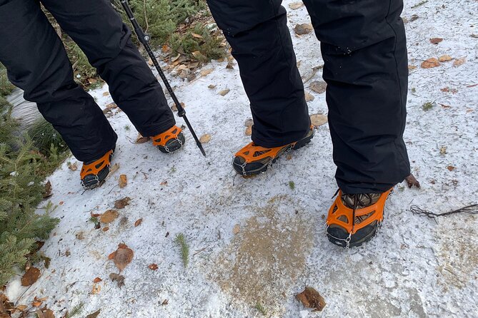 Canmore: Wilderness & Wildlife Tour - 2hr Walk - Weather, cancellations, and planning details