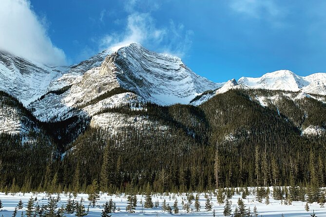 Canmore: Wilderness & Wildlife Tour - 2hr Walk - My verdict on the Canmore wilderness walk