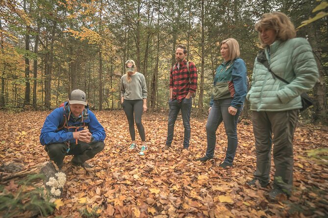 Canopy Tour at Haliburton Forest - Arriving at 1095 Redkenn Road