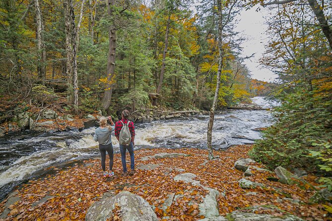 Canopy Tour at Haliburton Forest - Canoeing, rapids, and forest time