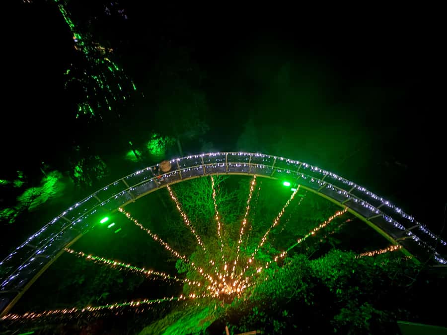 CANYON LIGHTS+Capilano Suspension Bridge/Small Group/CAR - Key points to know before booking