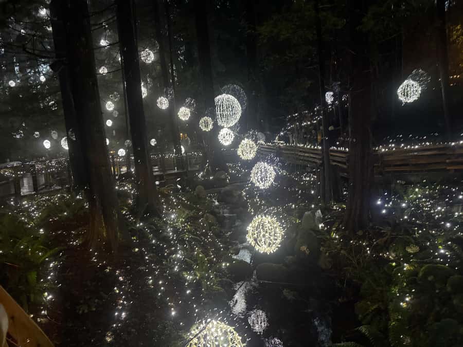 CANYON LIGHTS+Capilano Suspension Bridge/Small Group/CAR - Why this tour works well in Vancouver