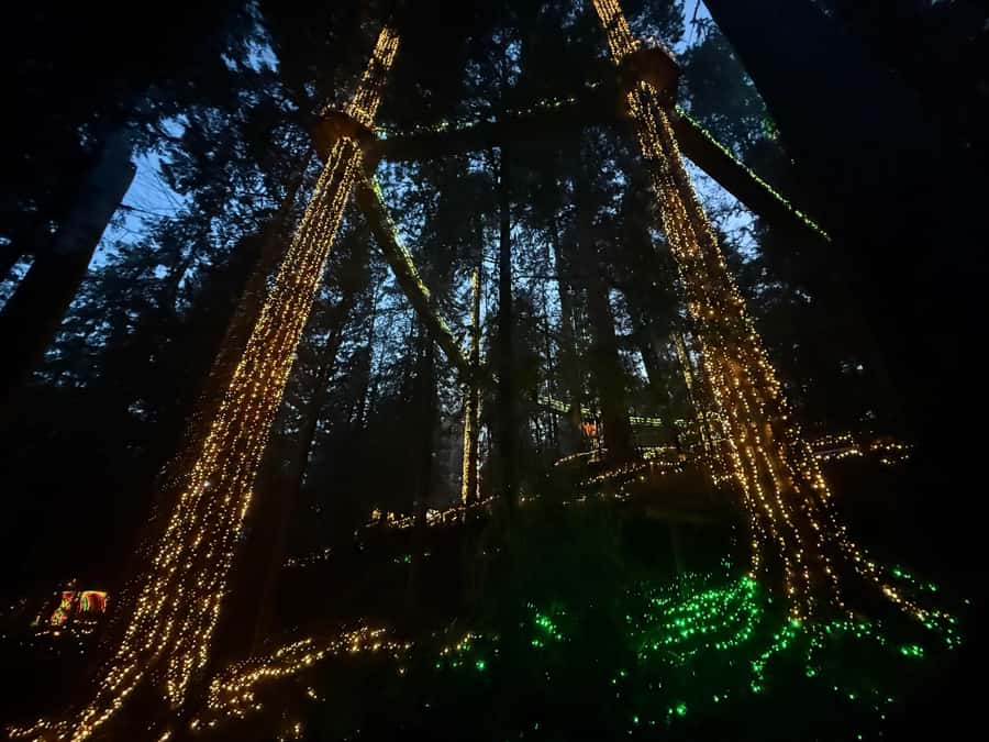 CANYON LIGHTS+Capilano Suspension Bridge/Small Group/CAR - Crossing Lions Gate Bridge