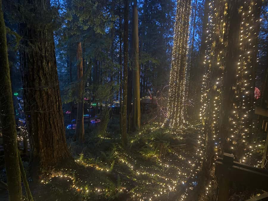 CANYON LIGHTS+Capilano Suspension Bridge/Small Group/CAR - Entering Capilano Suspension Bridge Park