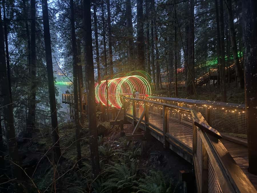 CANYON LIGHTS+Capilano Suspension Bridge/Small Group/CAR - What the guide adds