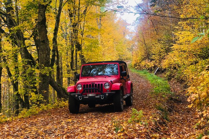 Cape Breton Scenic Jeep Adventure - Why This Margaree Tour Feels Different