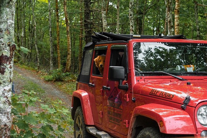 Cape Breton Scenic Jeep Adventure - What $119.72 Buys You