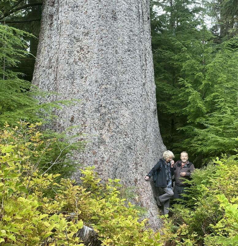 Cape Scott: San Josef Bay Day Hike with Scenic Drive - Key points at a glance
