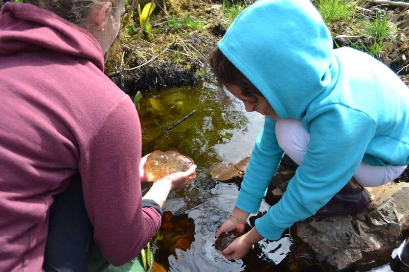 Cape Scott: San Josef Bay Day Hike with Scenic Drive - The short stops and picnic timing