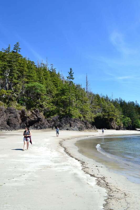 Cape Scott: San Josef Bay Day Hike with Scenic Drive - Is $274 per person good value?