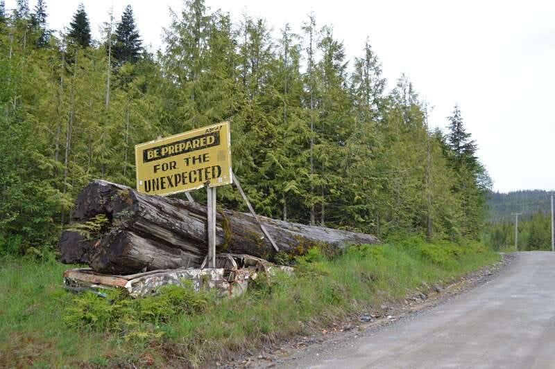 Cape Scott: San Josef Bay Day Hike with Scenic Drive - Booking details and cancellation flexibility