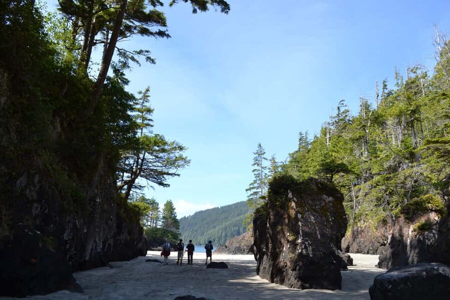 Cape Scott: San Josef Bay Day Hike with Scenic Drive - A gentle old-growth walk to San Josef Bay
