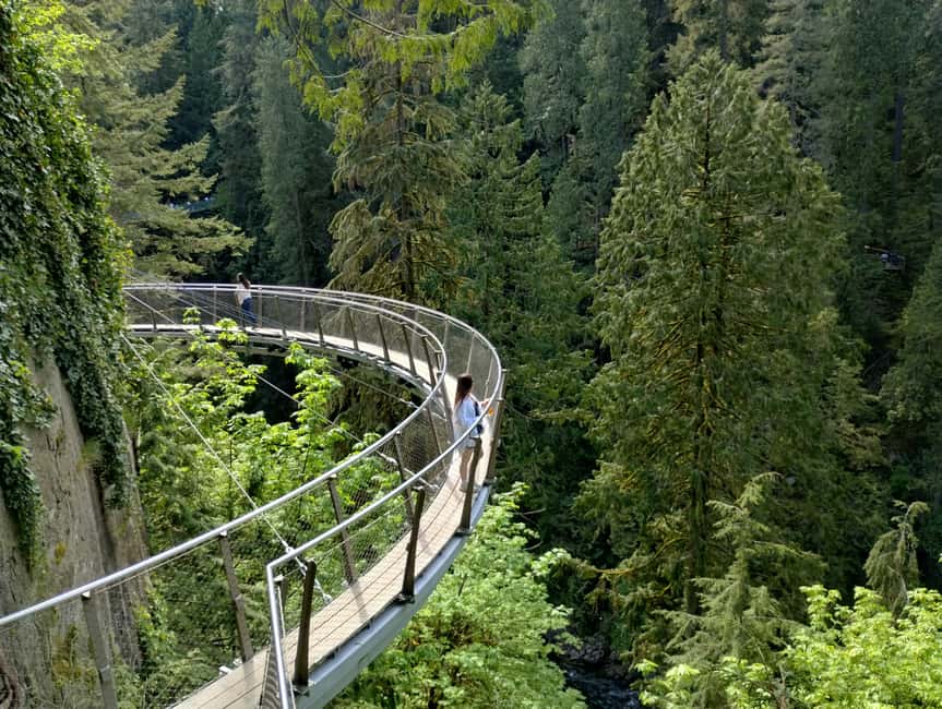Capilano Br+Grouse Mtn+Dam+Lake&Hatcher/5in1/Small Group/Car - Grouse Mountain and the famous grizzly bears