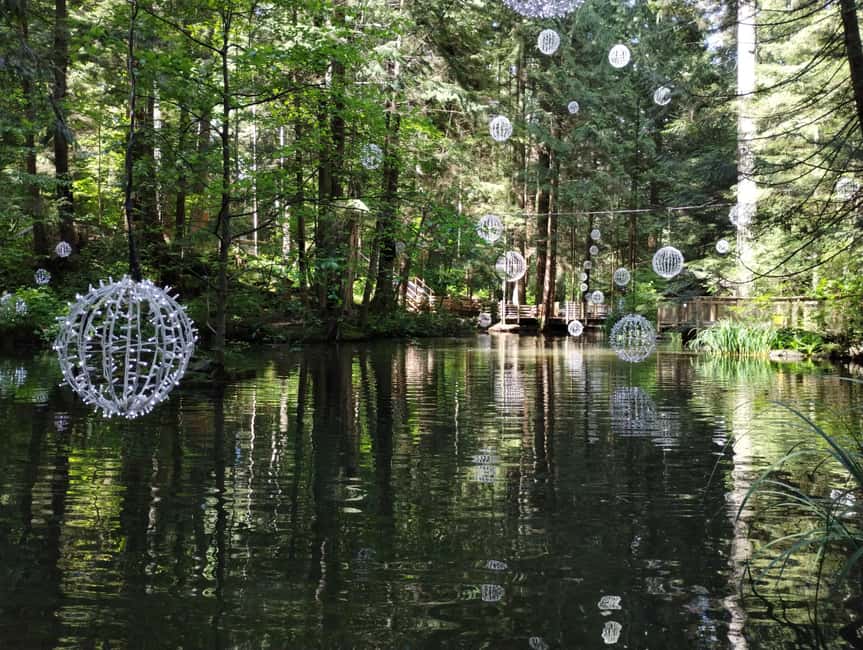 Capilano Br+Grouse Mtn+Dam+Lake&Hatcher/5in1/Small Group/Car - What $187 actually buys you