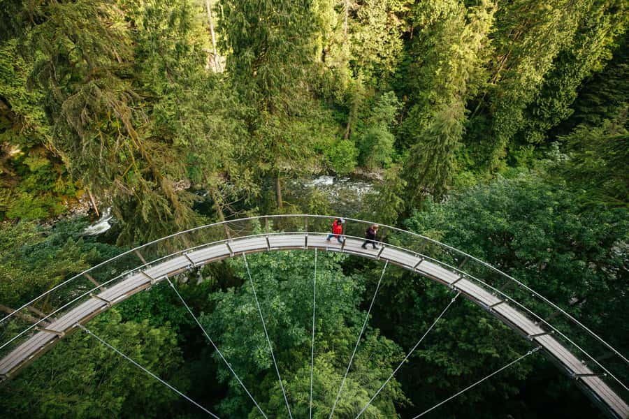 Capilano Suspension Bridge Canyon Lights & 4 Top highlights - Why this route works for a first day in Vancouver