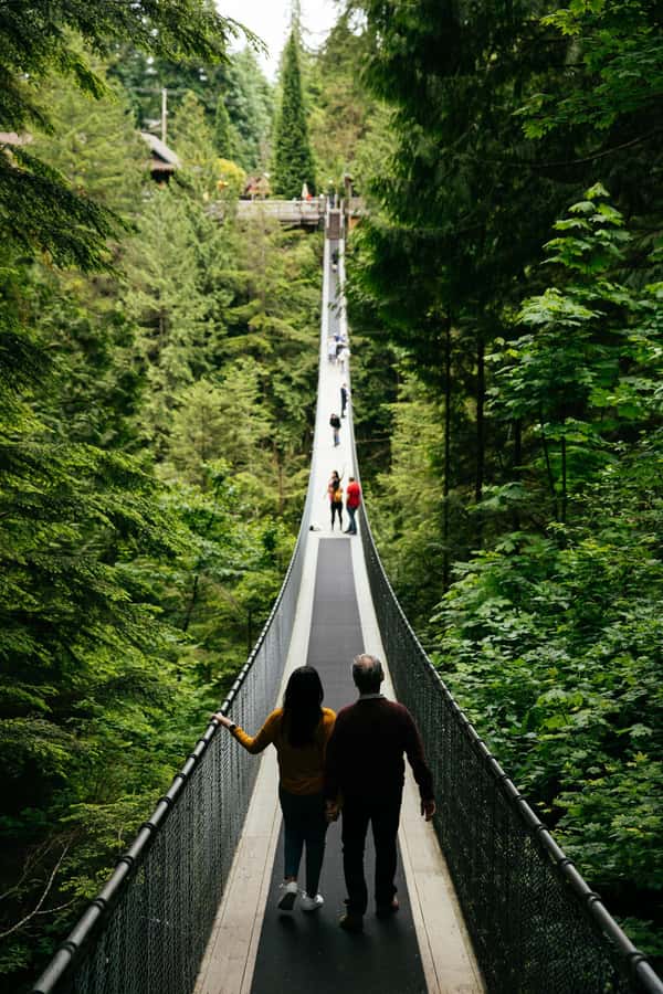 Capilano Suspension Bridge Canyon Lights & 4 Top highlights - Cliffwalk and Treetops Adventure add variety