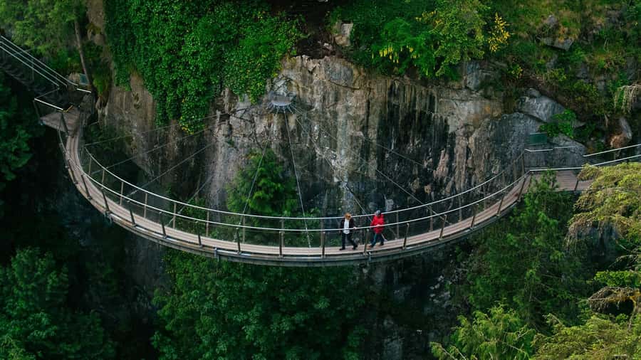 Capilano Suspension Bridge Canyon Lights & 4 Top highlights - The salmon hatchery adds a welcome change of pace