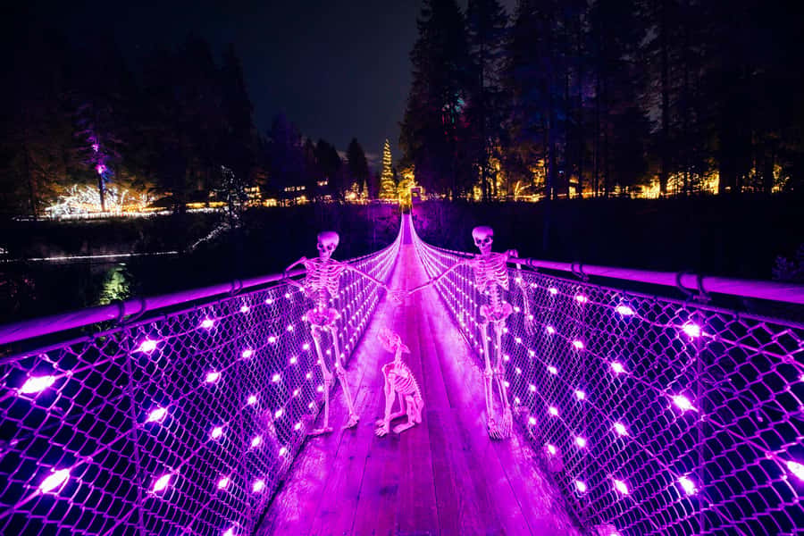 Capilano Suspension Bridge Canyon Lights & 4 Top highlights - Capilano River Regional Park shows the wild side