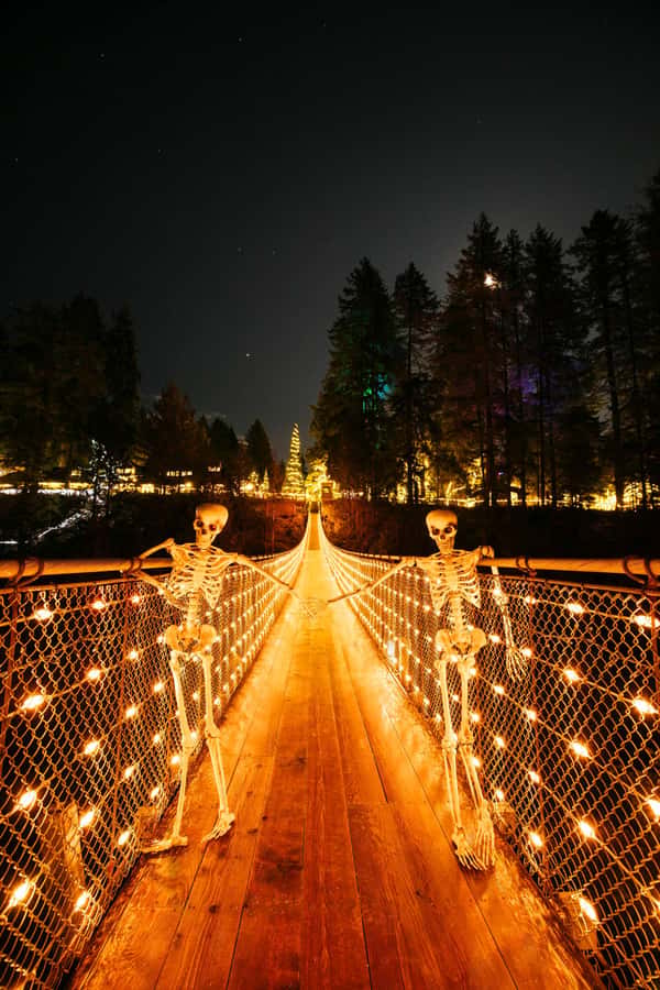 Capilano Suspension Bridge Canyon Lights & 4 Top highlights - Cleveland Dam and Capilano Lake deliver the big views