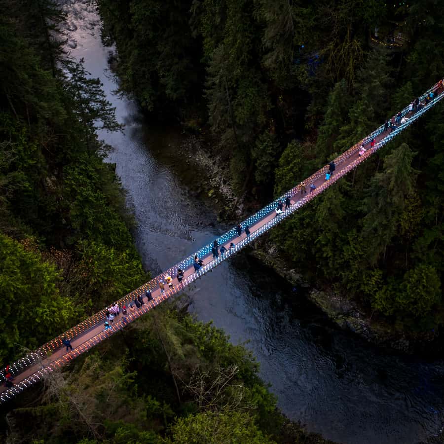 Capilano Suspension Bridge Canyon Lights & 4 Top highlights - Lynn Canyon starts the day with a quieter bridge