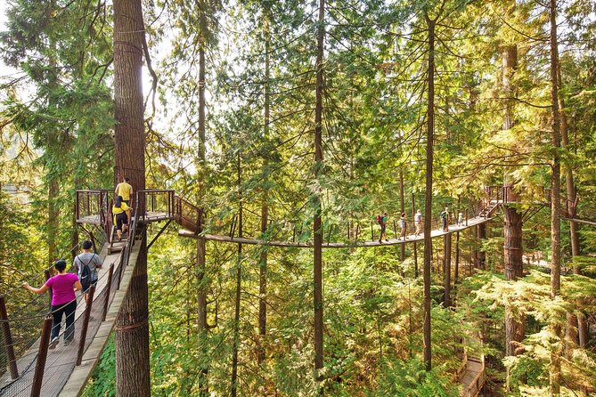 Capilano Suspension Bridge + Grouse Mountain Tour - Grouse Mountain: Skyride views and resident bears