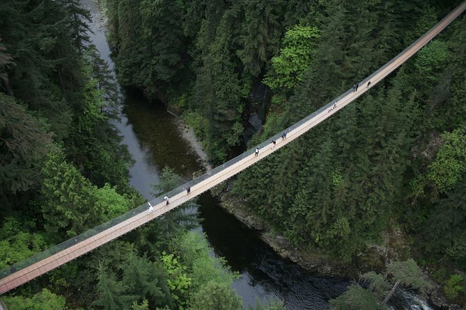 Capilano Suspension Bridge Park Ticket - Why Capilano is more than one famous bridge