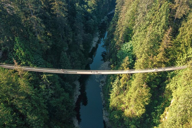 Capilano Suspension Bridge Park Ticket - Treetops Adventure among old-growth trees