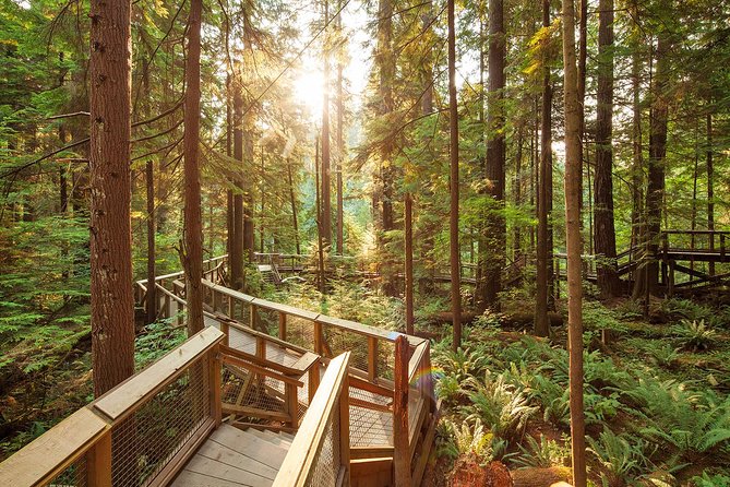 Capilano Suspension Bridge Park Ticket - Food, shopping, and time inside the park