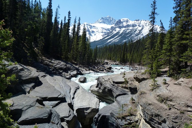 Caribou - Discover the Best of the Rockies (8-Days) - Day 3: The Icefields Parkway’s famous blue lakes