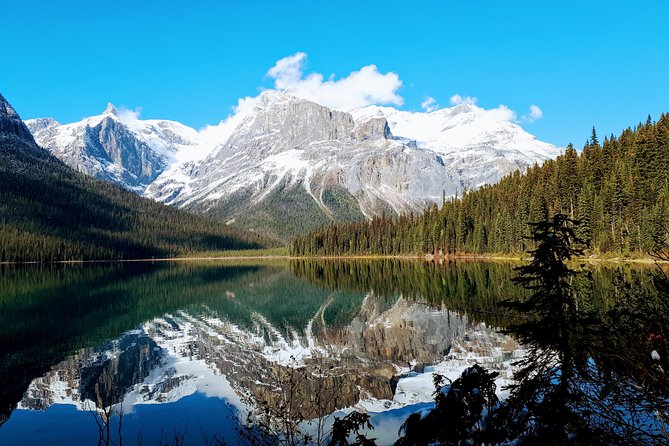 Caribou - Discover the Best of the Rockies (8-Days) - Day 4: Icefields, waterfalls, and a long return to Banff