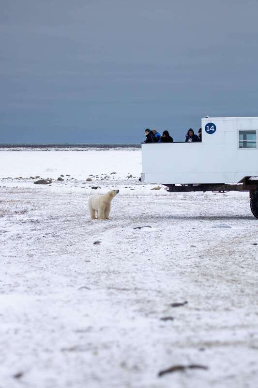 Churchill: Exclusive Tundra Buggy Day Trip - Lunch, bathrooms, and the realities of a long day