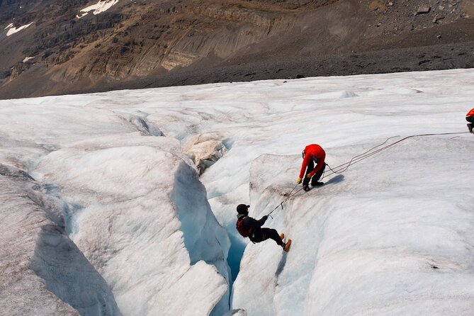 Columbia Icefield Adventure,Bow Lake,Peyto Lake in Banff & Jasper - Bow Lake: A Short Stop With Big Color