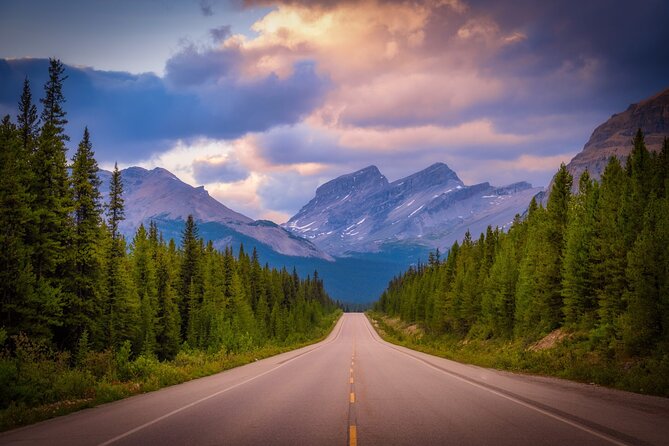 Columbia Icefield Adventure,Bow Lake,Peyto Lake in Banff & Jasper - Peyto Lake and the Walk to the View